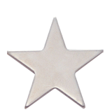 Polished Silver Star Lapel Pin