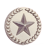 Silver Star and Wreath Lapel Pin