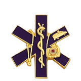 E.M.S Paramedic Lapel Pin