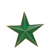 Green Color Star Lapel Pin