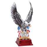 Silver Eagle Flag Trophy - 11
