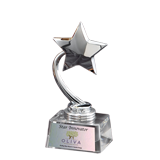 Crystal Silver Shooting Star Award - 7
