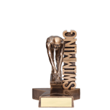 Swimming Trophies