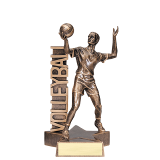 Billboard Volleyball Trophy - 6.5