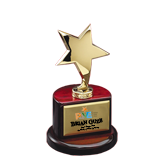 Rosewood Gold Star Award - 8