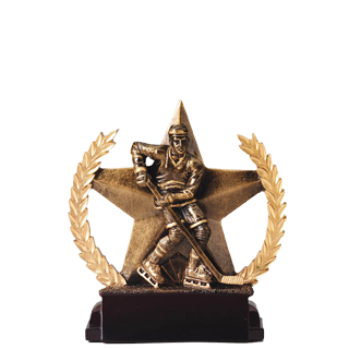 Hockey Golden Star Trophy - 6