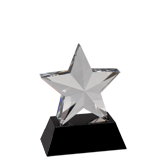 Crystal Star Award - 6