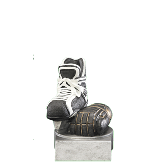 Hockey  Color Theme Trophy - 4