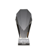 Crystal Spotlight Fan Award - 7.25