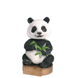 Panda Bear Mascot Bobblehead Trophy - 6