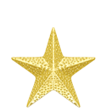 Gold Star Lapel Pin .875