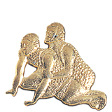 Gold Wrestling Lapel Pin