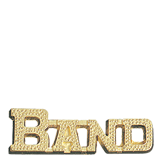 Gold Band Lapel Pin