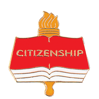 Citizenship Torch Scholastic Lapel Pin