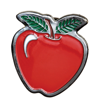 School Teacher Apple Lapel Pin