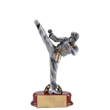 Boys Karate Silverline Trophy - 7