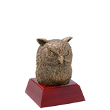 School Owl Mascot Trophy - 4