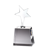 Metal Power Star Crystal Award