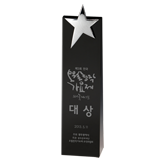 Silver Star Crystal Wedge Award