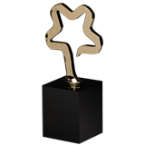 Metal Star Power Award