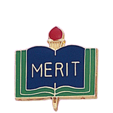 Merit School Lapel Pin