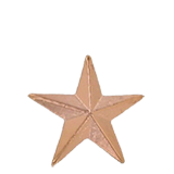Small Bronze Star Lapel Pin