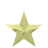 Small Bright Gold Star Lapel Pin