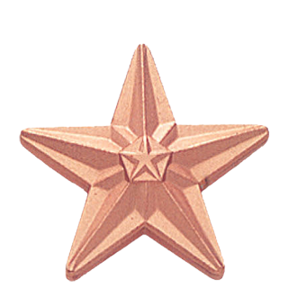 Bronze Double Star Lapel Pin