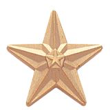 Gold Double Star Lapel Pin