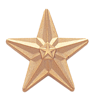 Gold Double Star Lapel Pin