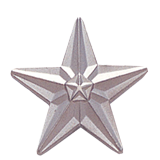 Silver Double Star Lapel Pin