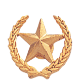 Small Star and Wreath Lapel Pin