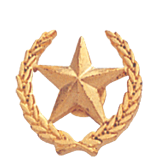 Small Star and Wreath Lapel Pin
