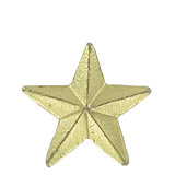Mini Gold Star Lapel Pin