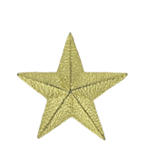 Gold Star Lapel Pin