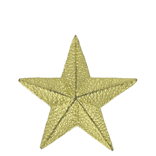 Gold Star Lapel Pin