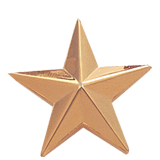 Large Gold Star Lapel Pin