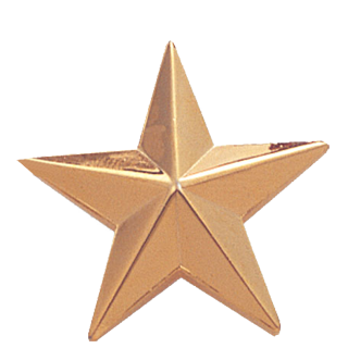 Large Gold Star Lapel Pin