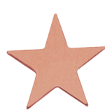 Flat Bronze Star Lapel Pin