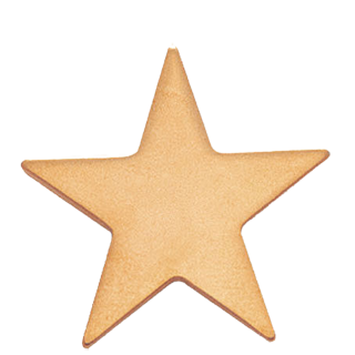 Flat Gold Star Lapel Pin