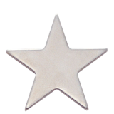 Flat Silver Star Lapel Pin
