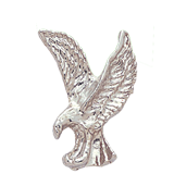 Silver Eagle Lapel Pin