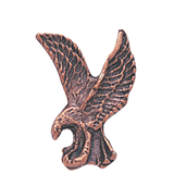 Bronze Eagle Lapel Pin