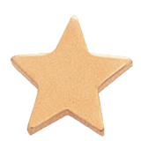 Small Flat Gold Star Lapel Pin