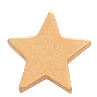 Small Flat Gold Star Lapel Pin
