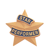 Star Performer Gold Lapel Pin