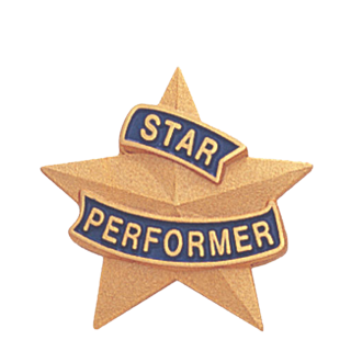 Star Performer Gold Lapel Pin