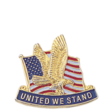 United We Stand Lapel Pin