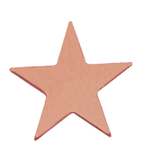 Polished Bronze Star Lapel Pin