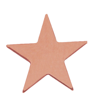 Polished Bronze Star Lapel Pin